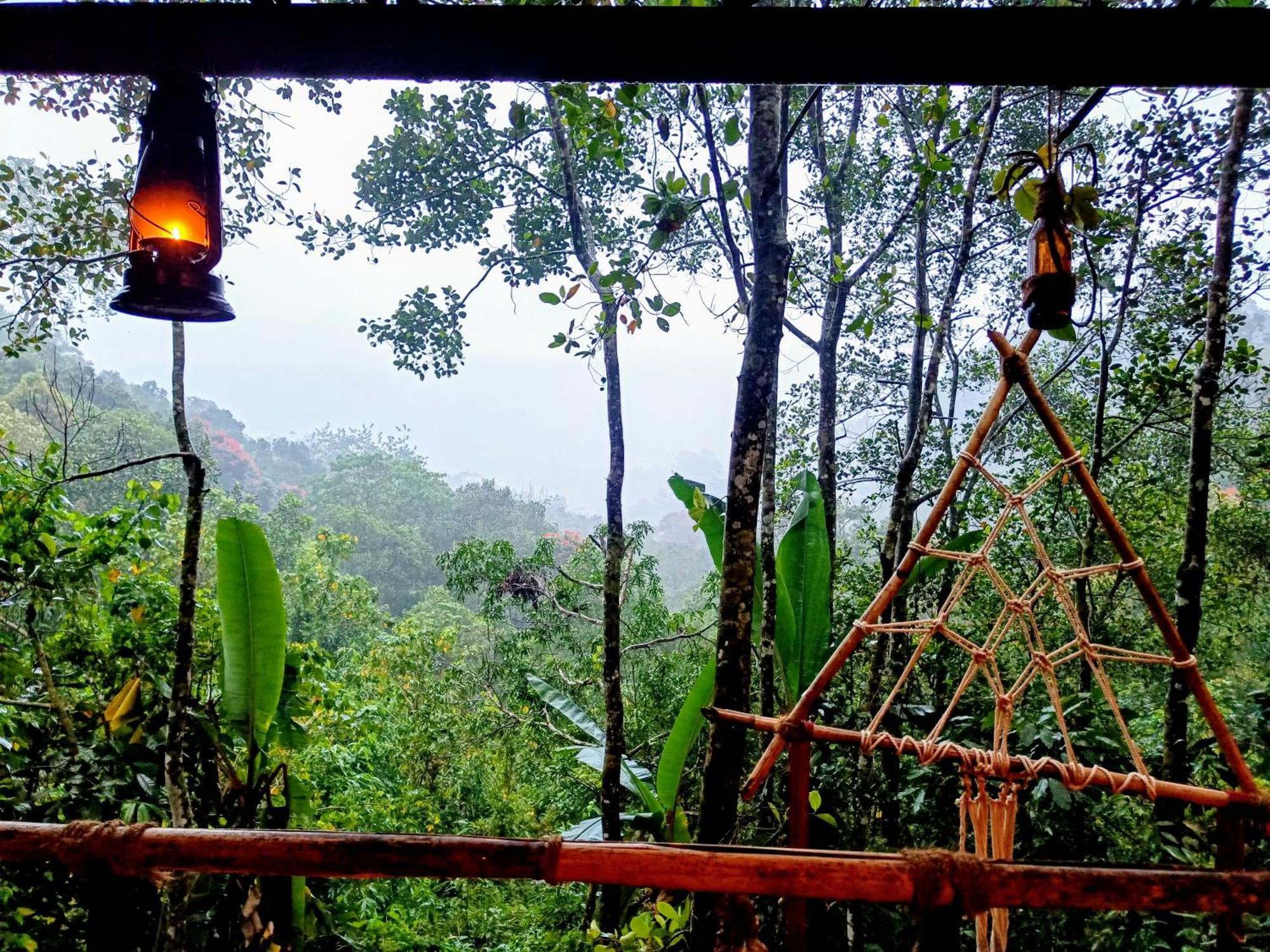 Triloka By The Offbeat Crew Homestay Munnar