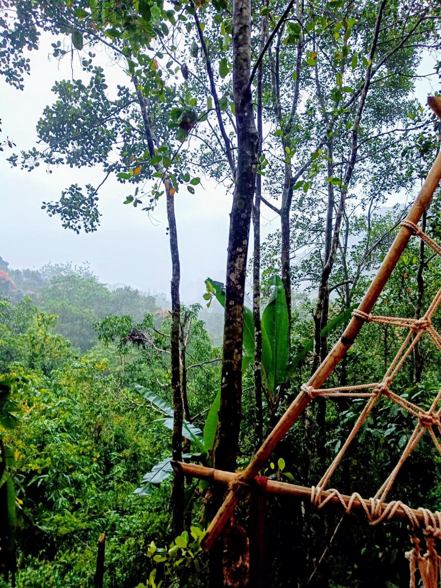 Homestay Triloka By The Offbeat Crew *