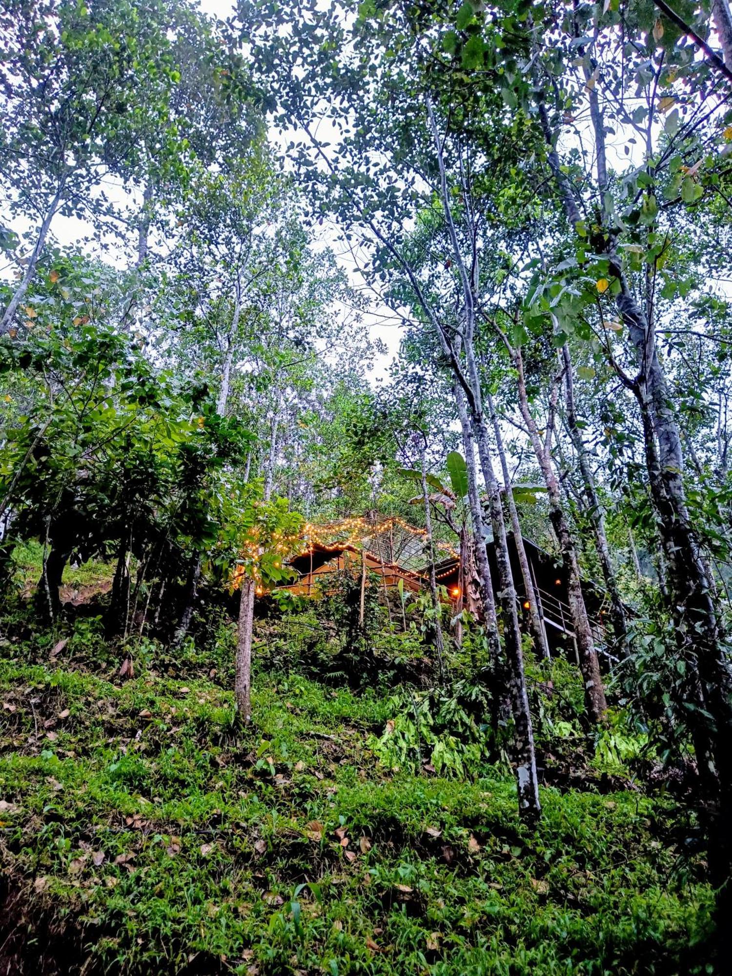 Triloka By The Offbeat Crew Munnar