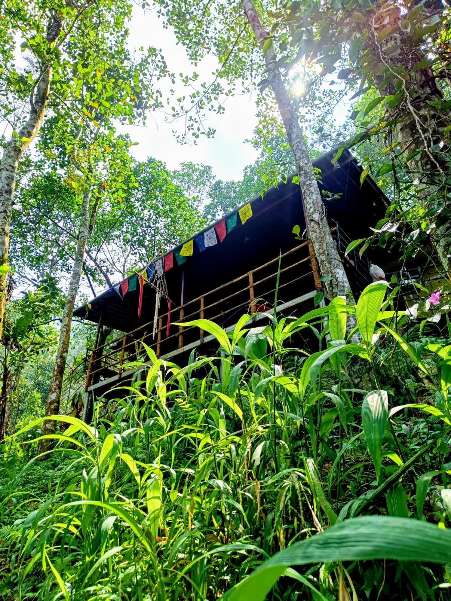 Homestay Triloka By The Offbeat Crew Munnar